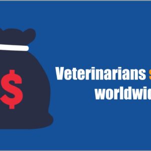 How much do veterinarians make? | Average salaries and more.
