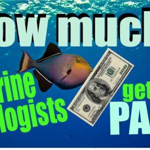 How much marine biologists get PAID