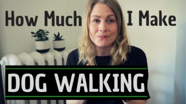 How Much Money Do I Make Dog Walking? (Q&A)