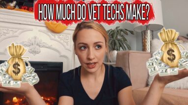 How much money do Vet Techs make?