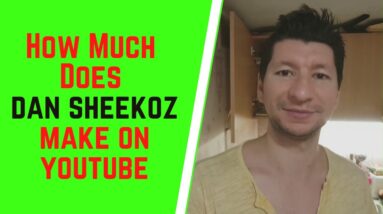 How Much Does Dan Sheekoz Make On YouTube