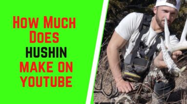 How Much Does Hushin Make On YouTube