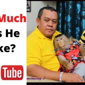 How Much Does Monkey Jk Shaki Make on YouTube