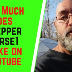 How Much Does Preppernurse1 Make On YouTube