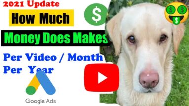 how much does Mrandrewcotter make on youtube | how much does Mrandrewcotter make money