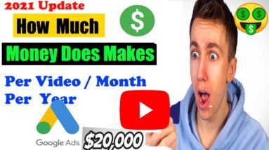 how much does Miniminter make on youtube | how much does Miniminter make  per video