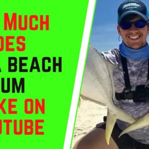 How Much Does Bama Beach Bum Make On YouTube