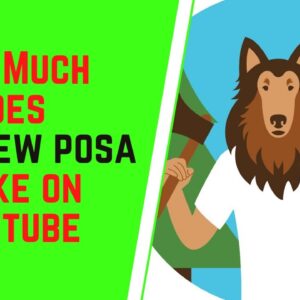 How Much Does Matthew Posa Make On YouTube