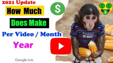 How Much Does monkey Baby YoYo  Make On Youtube