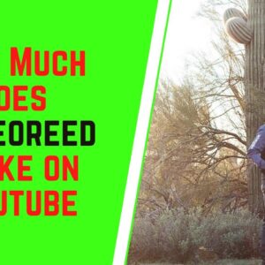 How Much Does Rodeoreed Make On YouTube