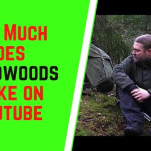 How Much Does Swedwoods Make On YouTube