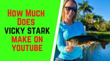 How Much Does Vicky Stark Make On YouTube
