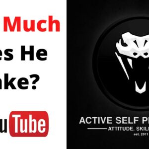 How Much Does Active Self Protection Make on YouTube