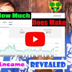 How Much Money Does Paper and Moose Make  On Youtube