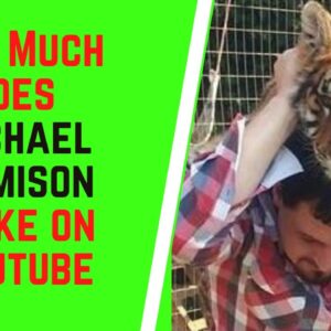 How Much Does Michael Jamison Make On YouTube