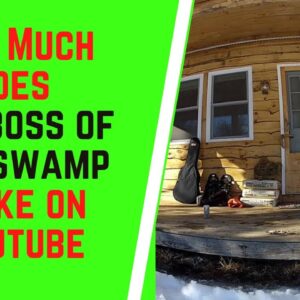 How Much Does The Boss Of The Swamp Make On YouTube