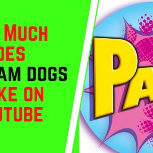 How Much Does Pawzam Dogs Make On YouTube