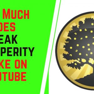 How Much Does Peak Prosperity Make On YouTube