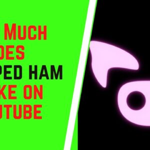 How Much Does Slapped Ham Make On YouTube