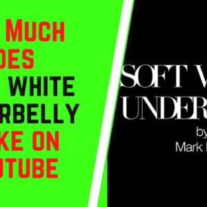 How Much Does Soft White Underbelly Make On YouTube