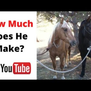 How Much Does Think Like A Horse Make on youtube
