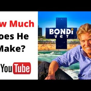 How Much Does Bondi Vet Make on Youtube