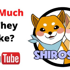 How Much Does SHIROSUKI Make on youtube