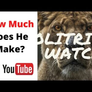 How Much Does Politricks Watch Make on Youtube