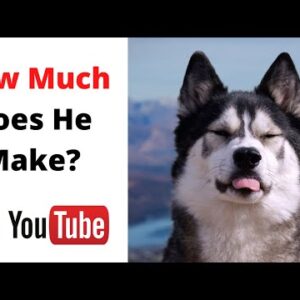 How Much Does K'eyush The Stunt Dog Make on Youtube