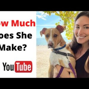 How Much Does Nikki Delventhal Make on Youtube