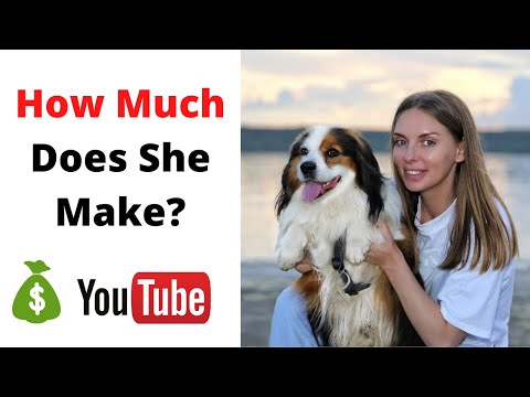 How Much Does Stray Furry Friends Make on Youtube