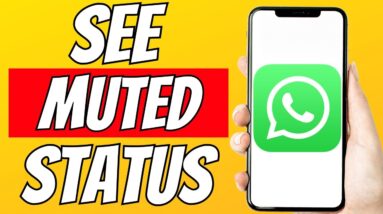 How To See Muted Status On WhatsApp Latest Update Easy Way